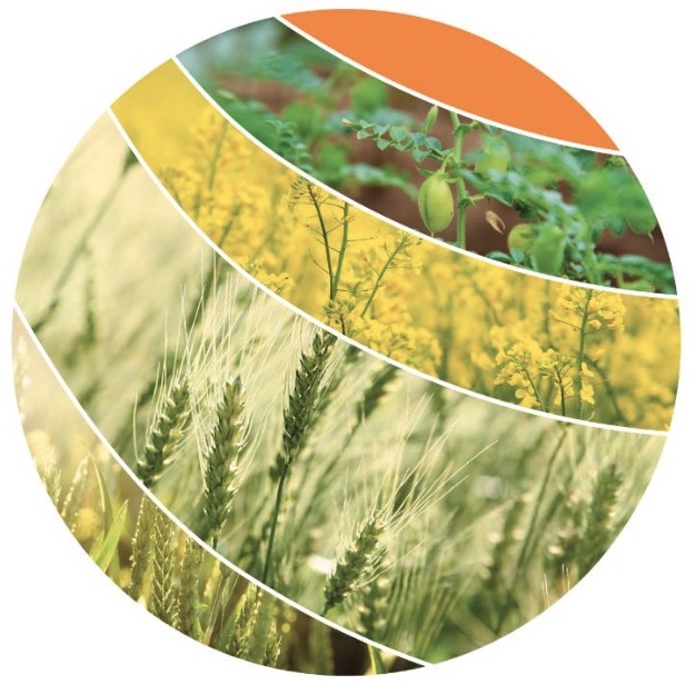 ABARES Australian Crop Report Farm Tender Prime 